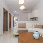 Case de vacanță Camelia Luxury